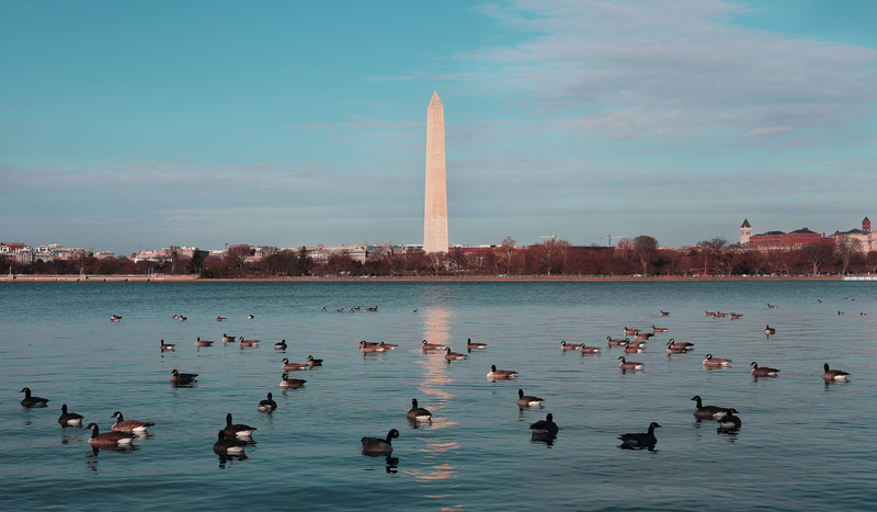 Washington DC Memorials